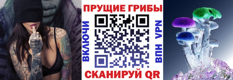 Псилоцибиновые грибы прущие грибы Купить закладки Дно